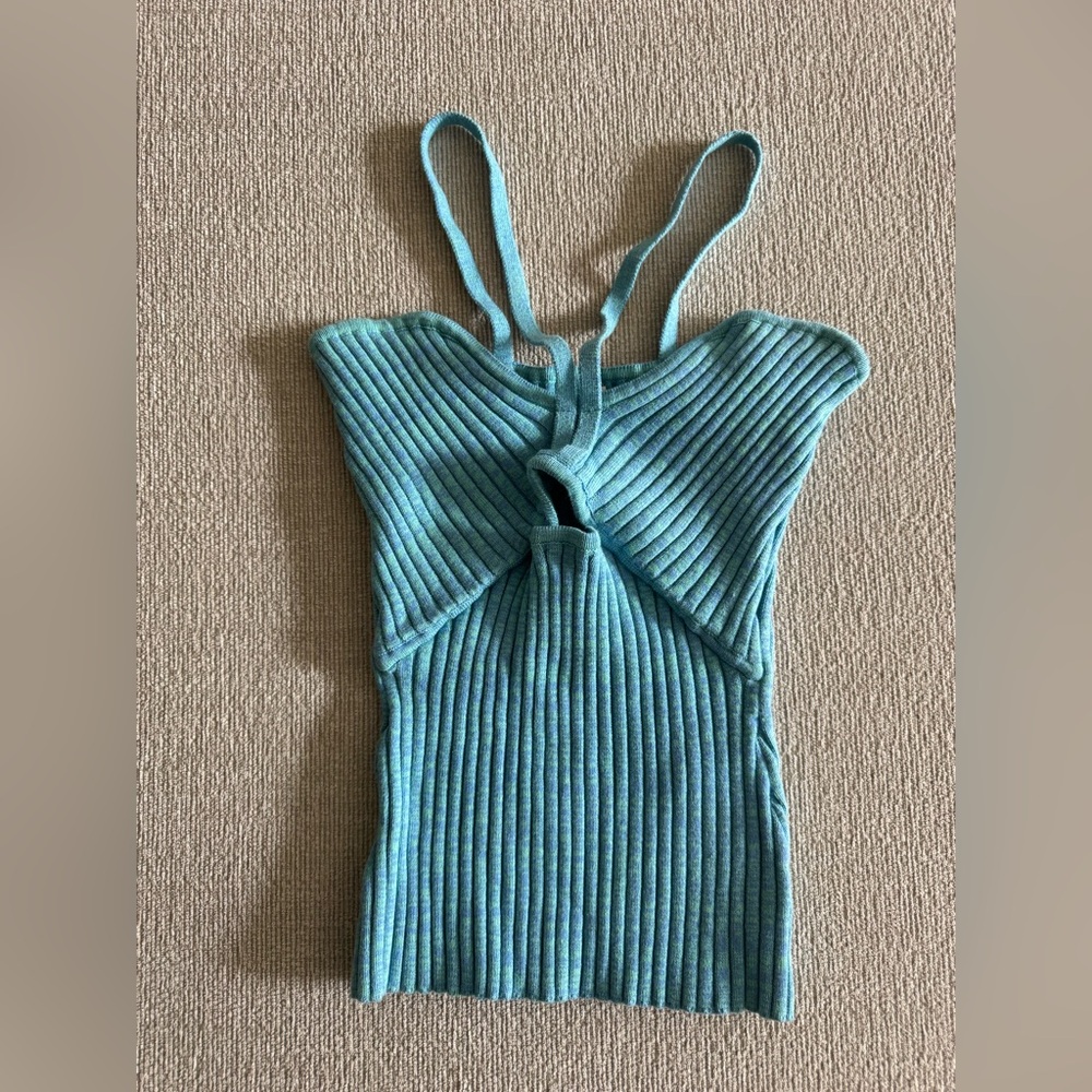 Anna Quan Ribbed Halter Top — worn once